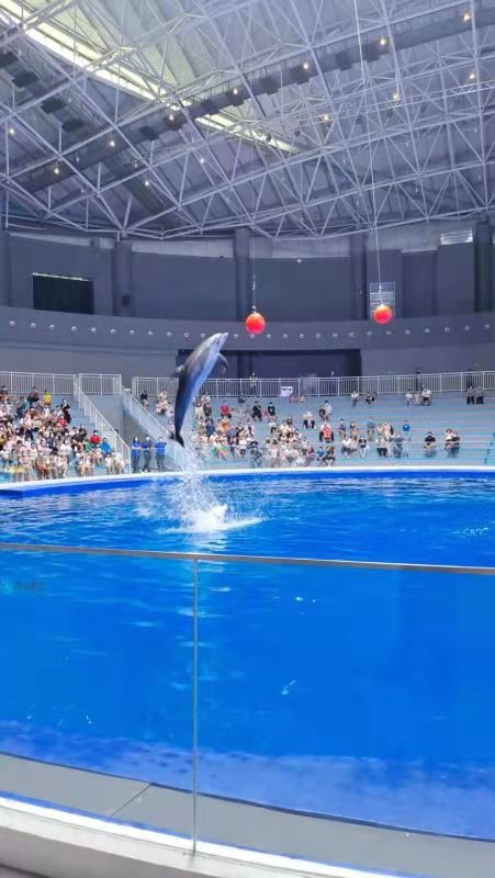 滨州海底世界试营业鲁北地区新添海洋文化传播阵地